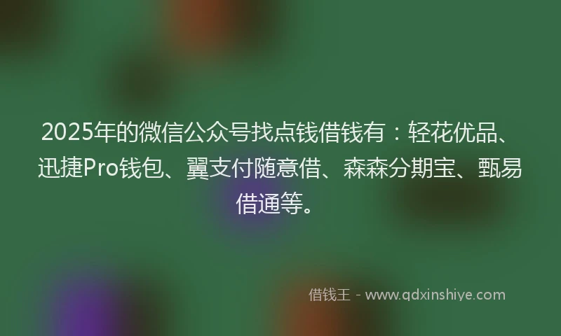 2025年的微信公众号找点钱借钱有：轻花优品、迅捷Pro钱包、翼支付随意借、森森分期宝、甄易借通等。