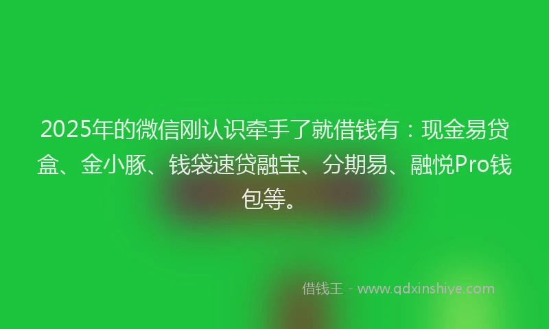2025年的微信刚认识牵手了就借钱有：现金易贷盒、金小豚、钱袋速贷融宝、分期易、融悦Pro钱包等。