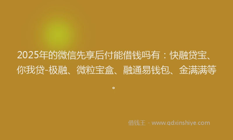 2025年的微信先享后付能借钱吗有：快融贷宝、你我贷-极融、微粒宝盒、融通易钱包、金满满等。