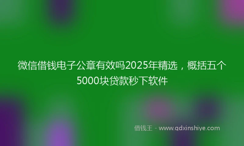 微信借钱电子公章有效吗2025年精选，概括五个5000块贷款秒下软件