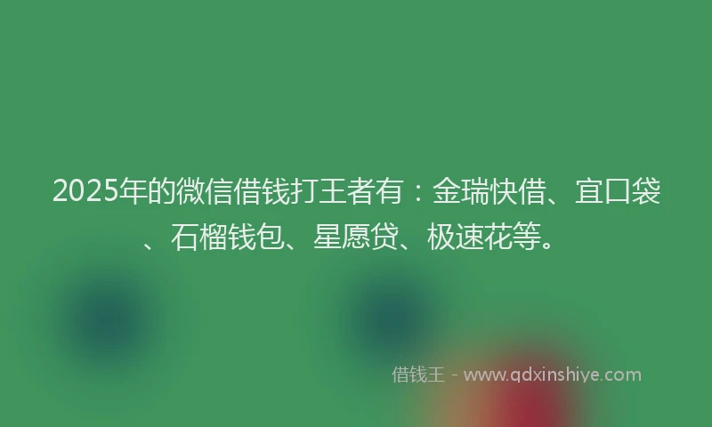 2025年的微信借钱打王者有：金瑞快借、宜口袋、石榴钱包、星愿贷、极速花等。