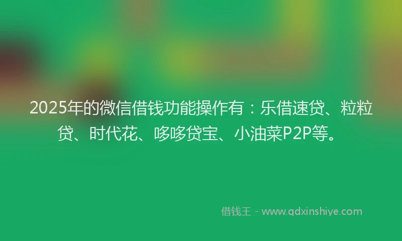 2025年的微信借钱功能操作有：乐借速贷、粒粒贷、时代花、哆哆贷宝、小油菜P2P等。