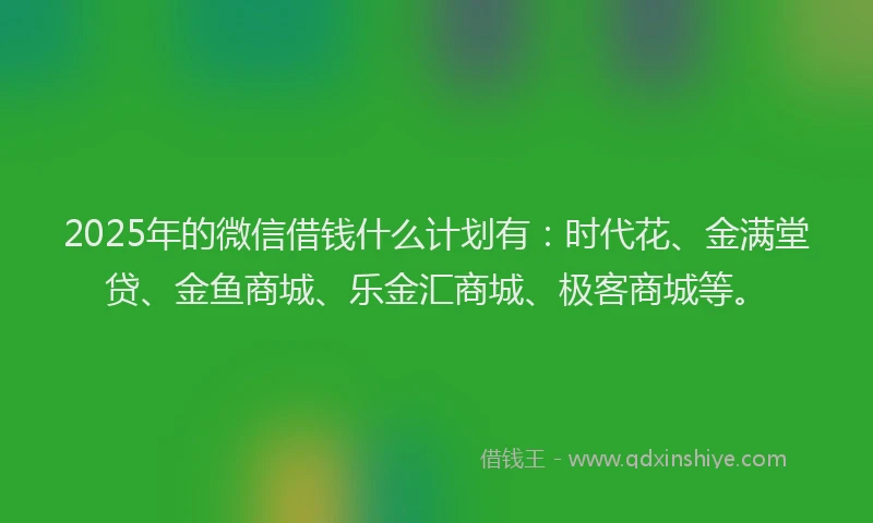2025年的微信借钱什么计划有：时代花、金满堂贷、金鱼商城、乐金汇商城、极客商城等。