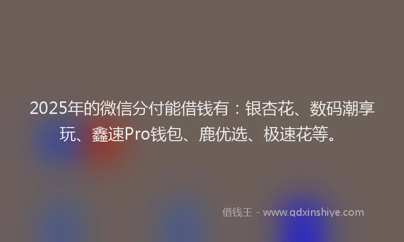 2025年的微信分付能借钱有：银杏花、数码潮享玩、鑫速Pro钱包、鹿优选、极速花等。