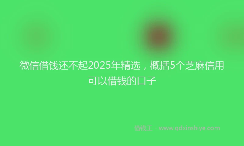 微信借钱还不起2025年精选，概括5个芝麻信用可以借钱的口子