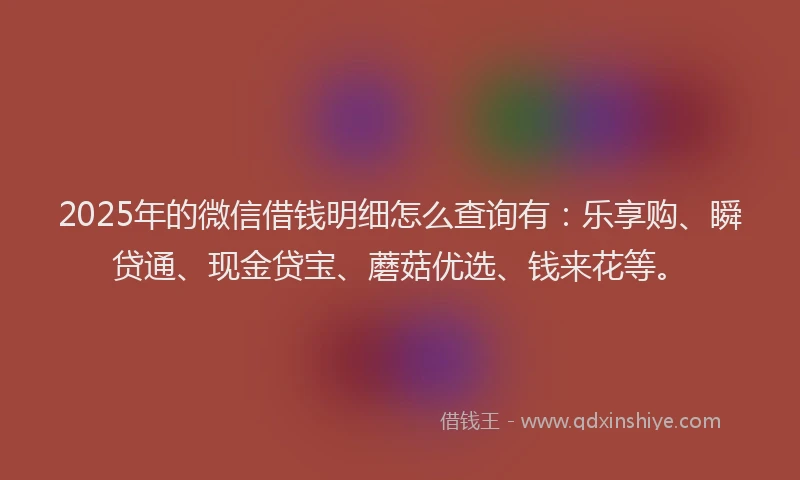 2025年的微信借钱明细怎么查询有：乐享购、瞬贷通、现金贷宝、蘑菇优选、钱来花等。