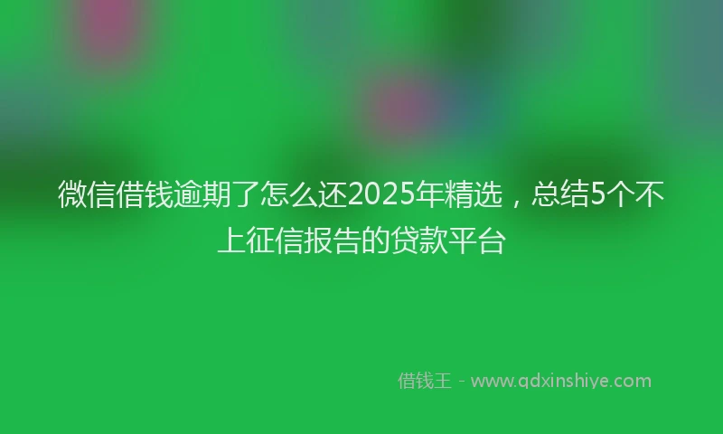 微信借钱逾期了怎么还2025年精选，总结5个不上征信报告的贷款平台