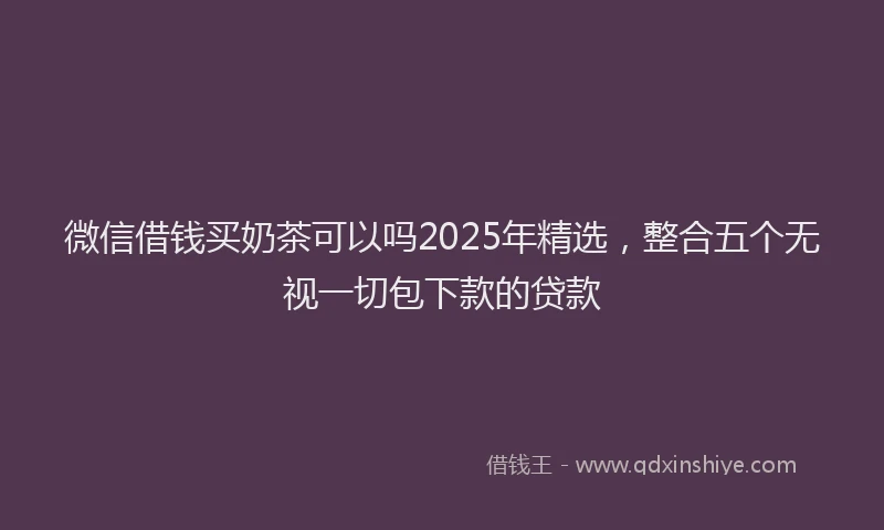 微信借钱买奶茶可以吗2025年精选，整合五个无视一切包下款的贷款
