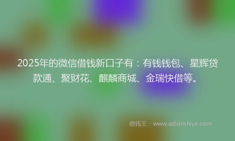 2025年的微信借钱新口子有：有钱钱包、星辉贷款通、聚财花、麒麟商城、金瑞快借等。