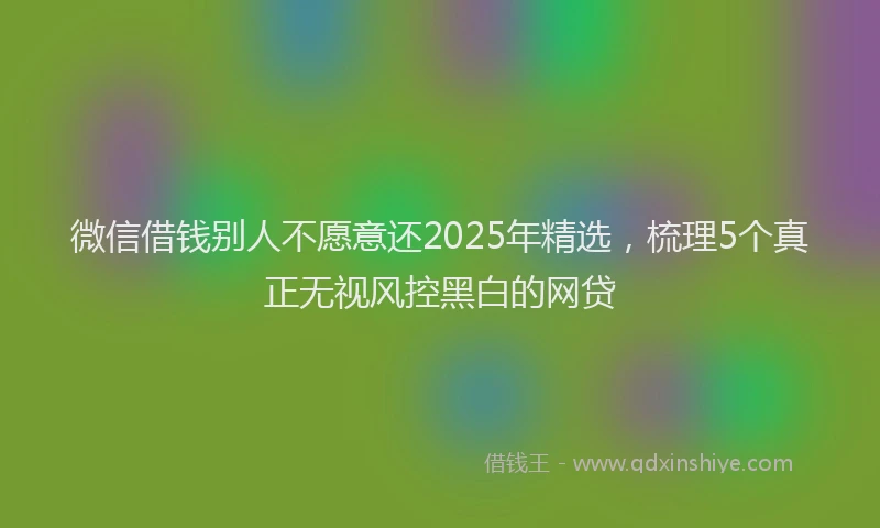 微信借钱别人不愿意还2025年精选，梳理5个真正无视风控黑白的网贷