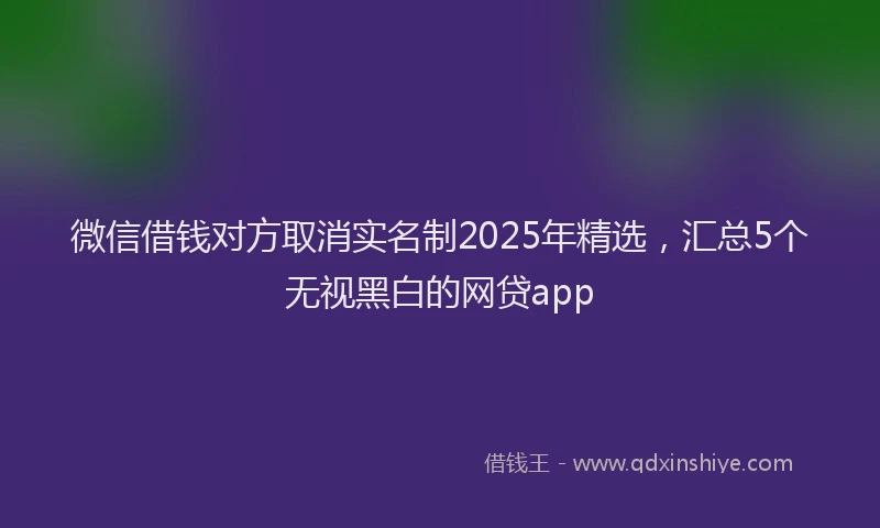 微信借钱对方取消实名制2025年精选，汇总5个无视黑白的网贷app
