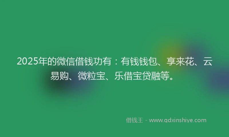 2025年的微信借钱功有：有钱钱包、享来花、云易购、微粒宝、乐借宝贷融等。