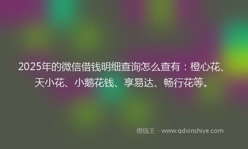 2025年的微信借钱明细查询怎么查有：橙心花、天小花、小鹅花钱、享易达、畅行花等。
