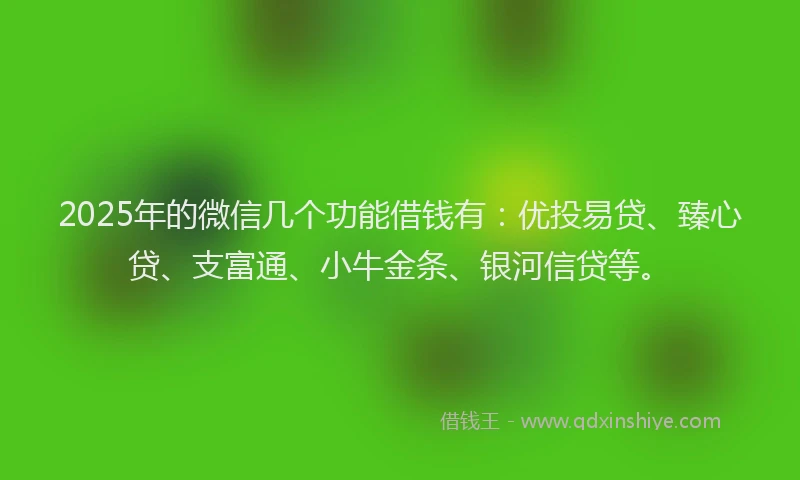 2025年的微信几个功能借钱有：优投易贷、臻心贷、支富通、小牛金条、银河信贷等。