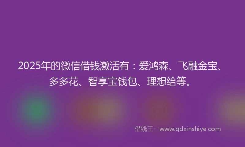 2025年的微信借钱激活有：爱鸿森、飞融金宝、多多花、智享宝钱包、理想给等。