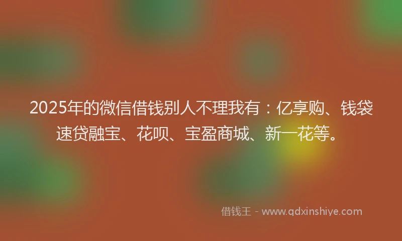 2025年的微信借钱别人不理我有：亿享购、钱袋速贷融宝、花呗、宝盈商城、新一花等。