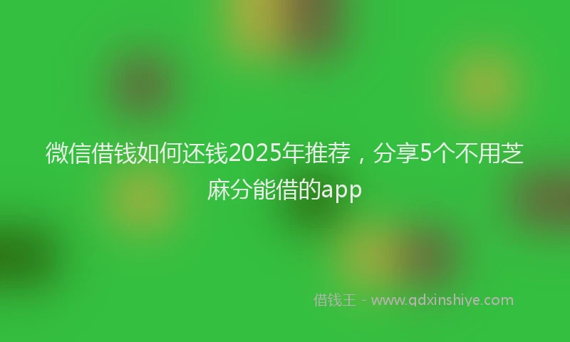微信借钱如何还钱2025年推荐，分享5个不用芝麻分能借的app