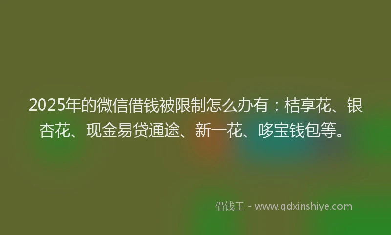 2025年的微信借钱被限制怎么办有：桔享花、银杏花、现金易贷通途、新一花、哆宝钱包等。