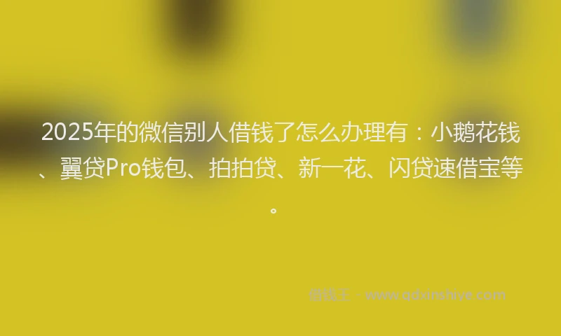 2025年的微信别人借钱了怎么办理有：小鹅花钱、翼贷Pro钱包、拍拍贷、新一花、闪贷速借宝等。