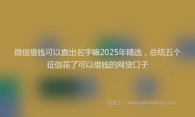 微信借钱可以查出名字嘛2025年精选，总结五个征信花了可以借钱的网贷口子