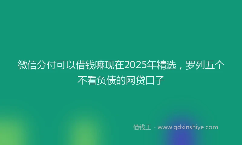 微信分付可以借钱嘛现在2025年精选，罗列五个不看负债的网贷口子