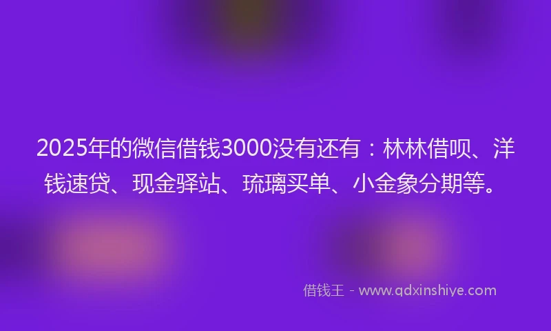 2025年的微信借钱3000没有还有：林林借呗、洋钱速贷、现金驿站、琉璃买单、小金象分期等。