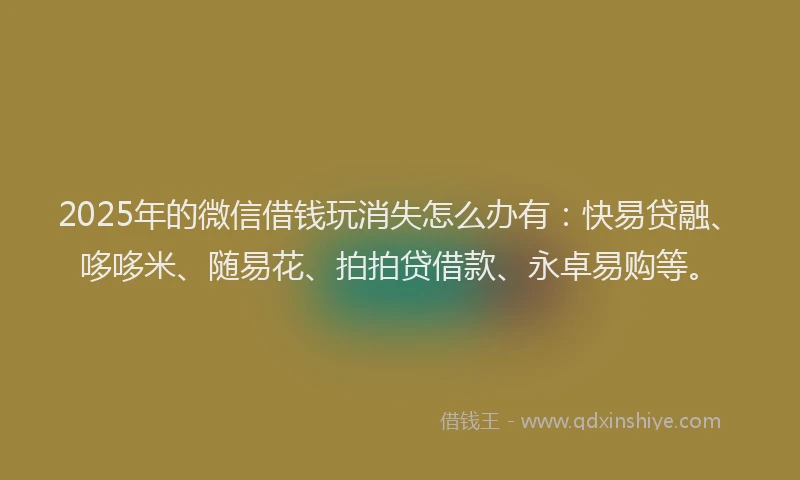 2025年的微信借钱玩消失怎么办有：快易贷融、哆哆米、随易花、拍拍贷借款、永卓易购等。