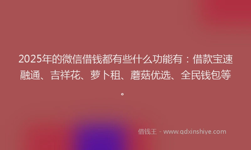 2025年的微信借钱都有些什么功能有：借款宝速融通、吉祥花、萝卜租、蘑菇优选、全民钱包等。