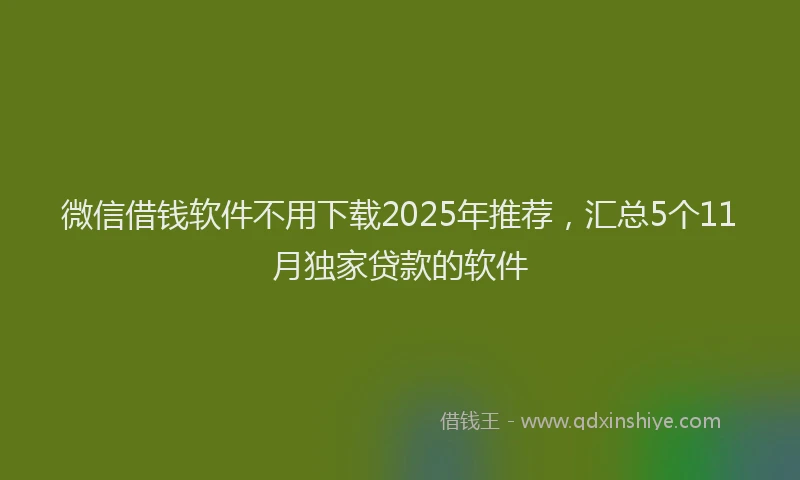 微信借钱软件不用下载2025年推荐，汇总5个11月独家贷款的软件