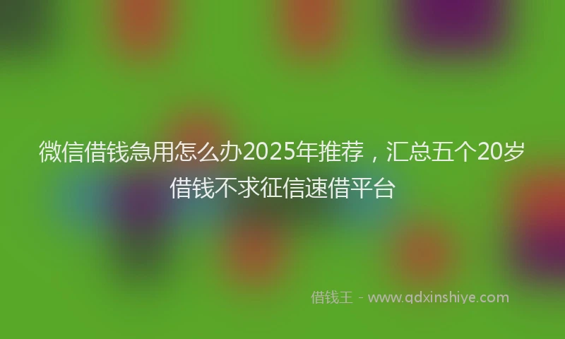 微信借钱急用怎么办2025年推荐，汇总五个20岁借钱不求征信速借平台