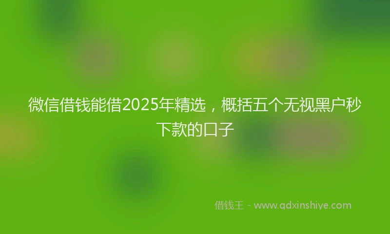 微信借钱能借2025年精选，概括五个无视黑户秒下款的口子