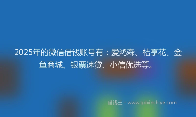 2025年的微信借钱账号有：爱鸿森、桔享花、金鱼商城、银票速贷、小信优选等。