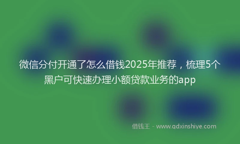 微信分付开通了怎么借钱2025年推荐，梳理5个黑户可快速办理小额贷款业务的app