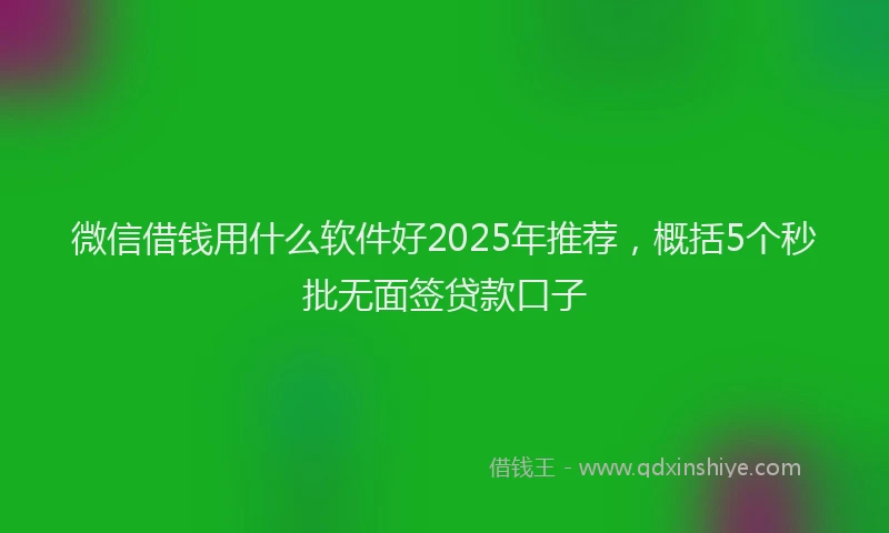 微信借钱用什么软件好2025年推荐，概括5个秒批无面签贷款口子