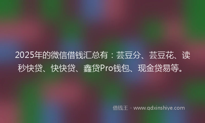 2025年的微信借钱汇总有：芸豆分、芸豆花、读秒快贷、快快贷、鑫贷Pro钱包、现金贷易等。