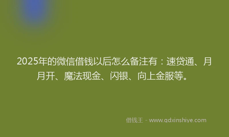2025年的微信借钱以后怎么备注有：速贷通、月月开、魔法现金、闪银、向上金服等。