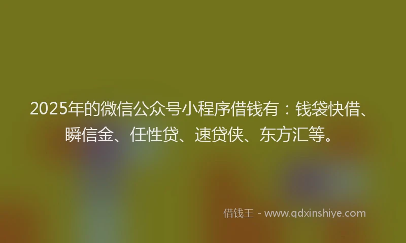 2025年的微信公众号小程序借钱有：钱袋快借、瞬信金、任性贷、速贷侠、东方汇等。