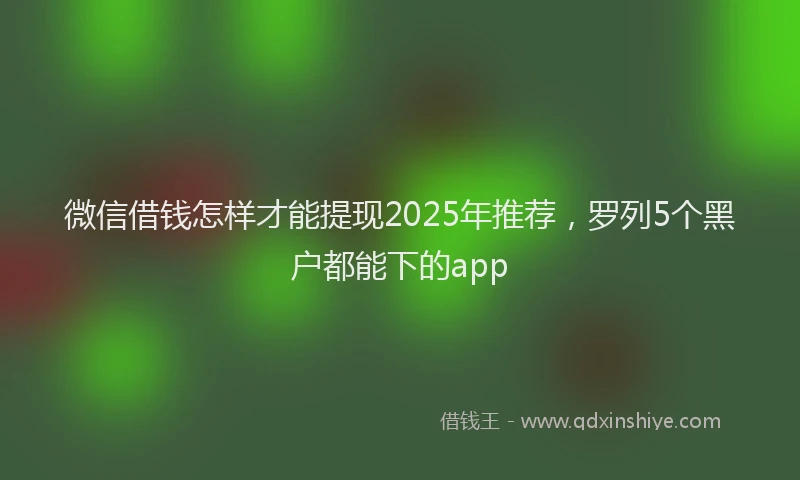 微信借钱怎样才能提现2025年推荐，罗列5个黑户都能下的app
