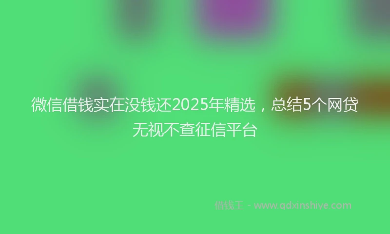 微信借钱实在没钱还2025年精选，总结5个网贷无视不查征信平台