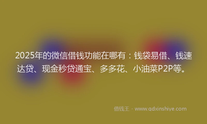 2025年的微信借钱功能在哪有：钱袋易借、钱速达贷、现金秒贷通宝、多多花、小油菜P2P等。
