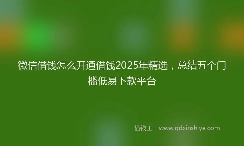 微信借钱怎么开通借钱2025年精选，总结五个门槛低易下款平台