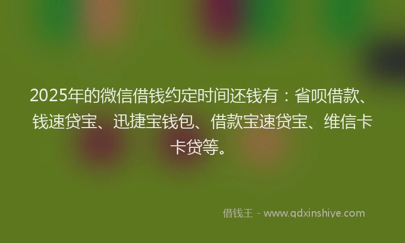2025年的微信借钱约定时间还钱有：省呗借款、钱速贷宝、迅捷宝钱包、借款宝速贷宝、维信卡卡贷等。