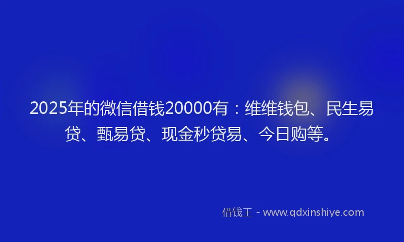 2025年的微信借钱20000有：维维钱包、民生易贷、甄易贷、现金秒贷易、今日购等。