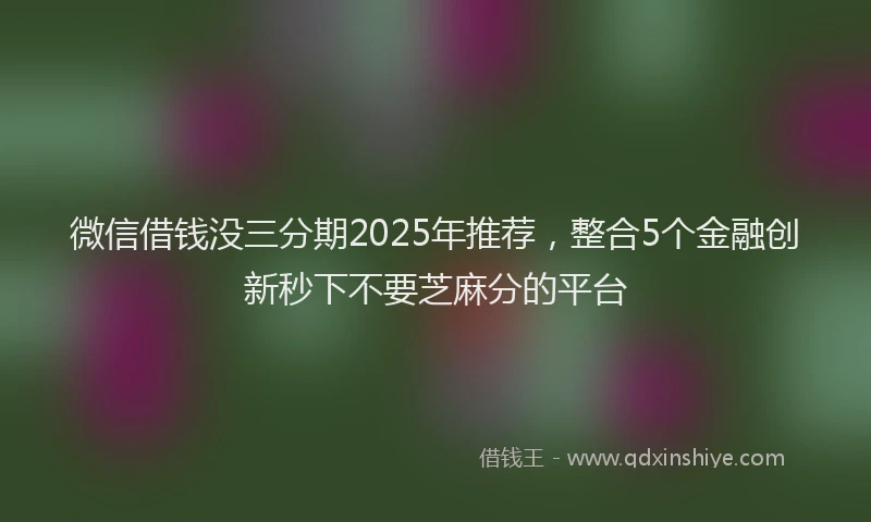 微信借钱没三分期2025年推荐，整合5个金融创新秒下不要芝麻分的平台