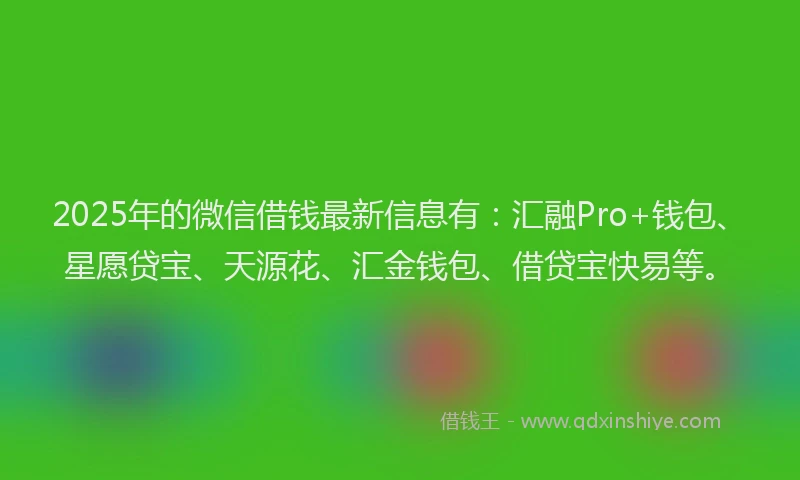 2025年的微信借钱最新信息有：汇融Pro+钱包、星愿贷宝、天源花、汇金钱包、借贷宝快易等。