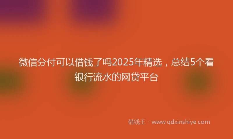 微信分付可以借钱了吗2025年精选，总结5个看银行流水的网贷平台
