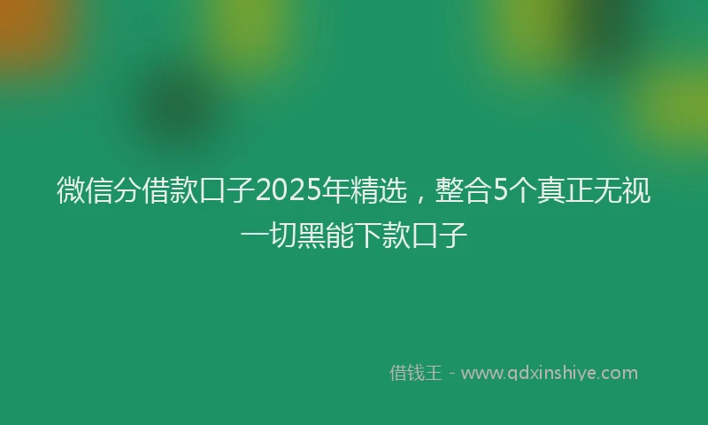 微信分借款口子2025年精选，整合5个真正无视一切黑能下款口子