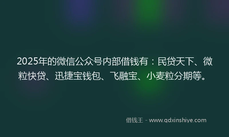 2025年的微信公众号内部借钱有：民贷天下、微粒快贷、迅捷宝钱包、飞融宝、小麦粒分期等。