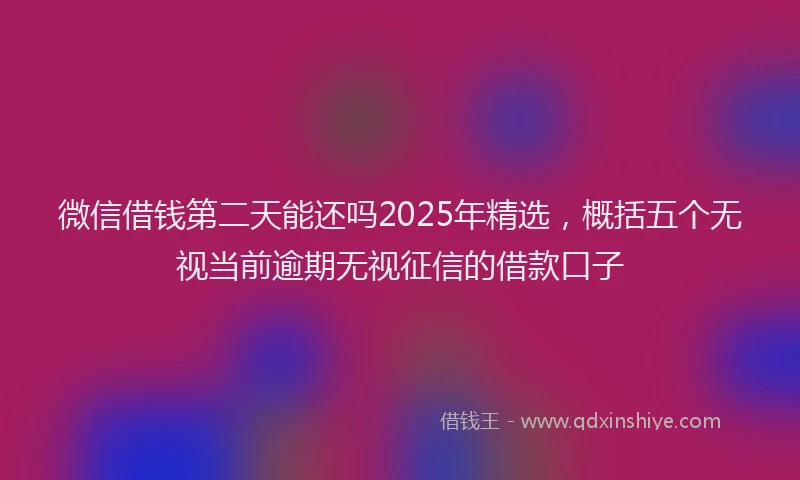 微信借钱第二天能还吗2025年精选，概括五个无视当前逾期无视征信的借款口子