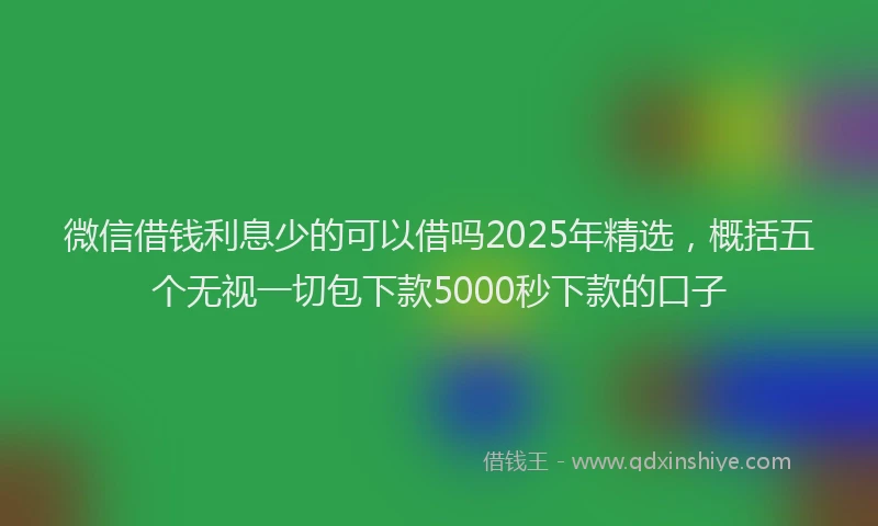微信借钱利息少的可以借吗2025年精选，概括五个无视一切包下款5000秒下款的口子